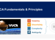 VUCA Fundamentals & Challenges