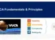 VUCA Fundamentals & Challenges