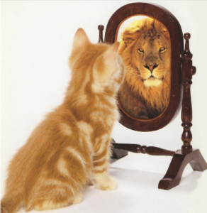 poes die een leeuw in de spiegel ziet