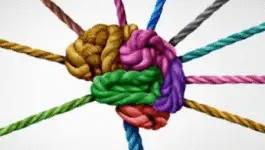 NeuroPlasticity aquare NeuroPlasticity aquare