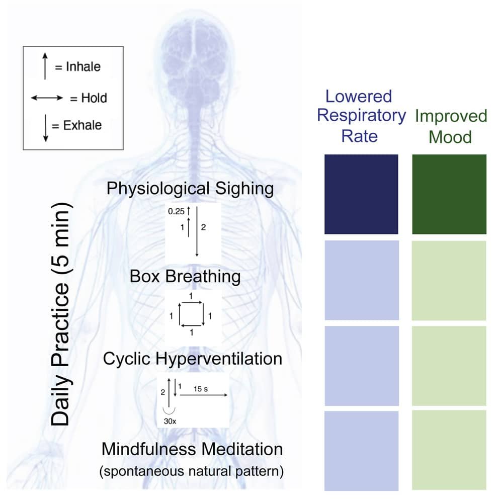 5-minute-reset-research-all - salomons.coach Infographic showing 5-minute daily breathing/mindfulness practices: inhale/hold/exhale diagram, box breathing, cyclic hyperventilation, and mindful meditation, with mood and breath-rate indicators on the right.