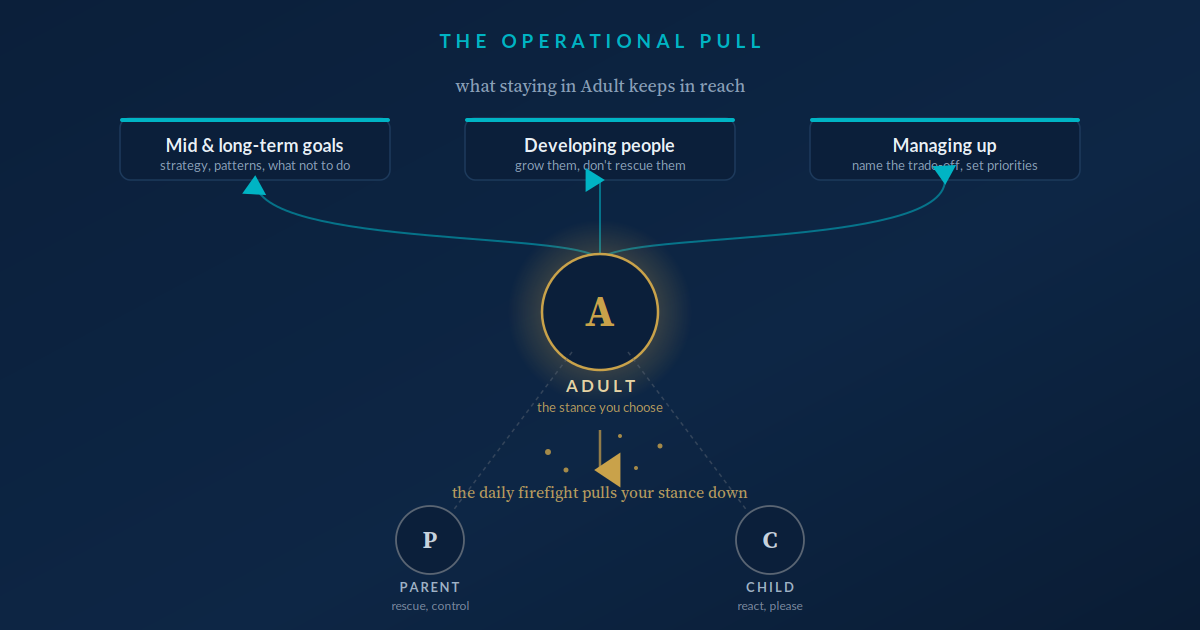 Diagram titled 'The Operational Pull' showing an adult at center (A) with a glowing circle, arrows pointing from A to three top categories: 'Mid & long-term goals', 'Developing people', and 'Managing up'. Text 'ADULT' and 'the stance you choose' under A, and 'the daily firefight pulls your stance down' with a downward arrow toward two circles labeled P (Parent) and C (Child) at the bottom, indicating rescue and control dynamics.