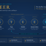 Infographic titled STEER showing five circular steps (S, T, E, E, R) for crisis leadership on a dark blue background. Steps: Stabilise, Triage, Establish, Execute & inform, Review & refine.